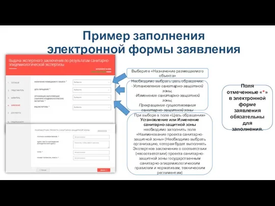 Пример заполнения электронной формы заявления Поля отмеченные «*» в электронной форме заявления обязательны