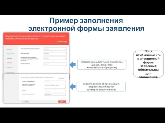 Пример заполнения электронной формы заявления Поля отмеченные «*» в электронной форме заявления обязательны