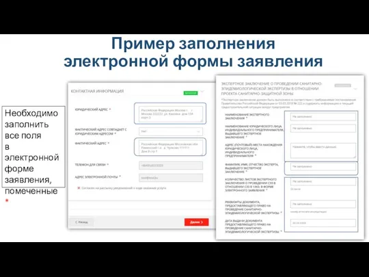 Пример заполнения электронной формы заявления Необходимо заполнить все поля в электронной форме заявления, помеченные *