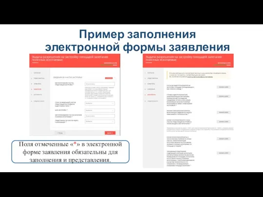 Пример заполнения электронной формы заявления Поля отмеченные «*» в электронной форме заявления обязательны