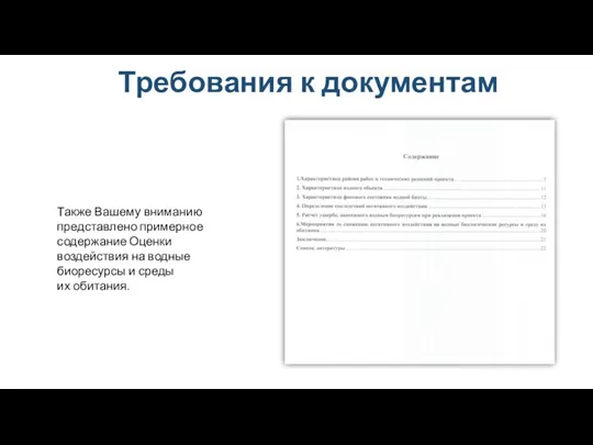 Также Вашему вниманию представлено примерное содержание Оценки воздействия на водные биоресурсы и среды