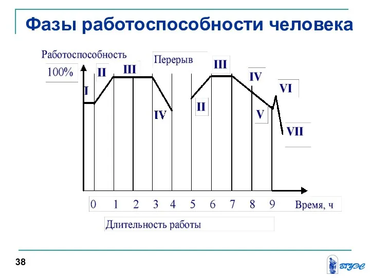 Фазы работоспособности человека 38