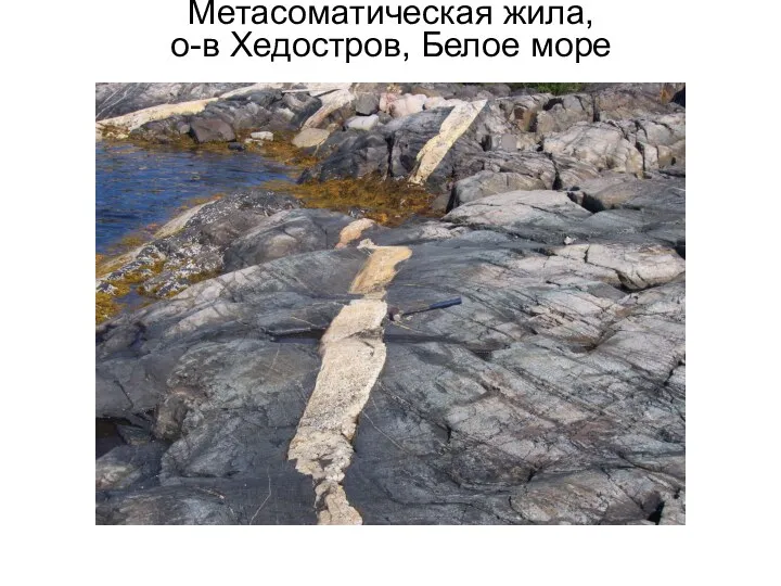 Метасоматическая жила, о-в Хедостров, Белое море