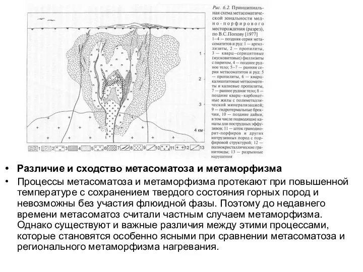 Различие и сходство метасоматоза и метаморфизма Процессы метасоматоза и метаморфизма