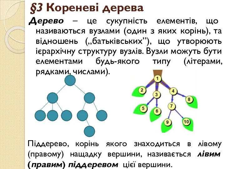 §3 Кореневі дерева Дерево – це сукупність елементів, що називаються