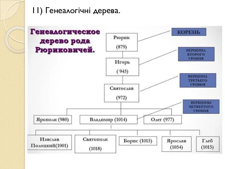 11) Генеалогічні дерева.