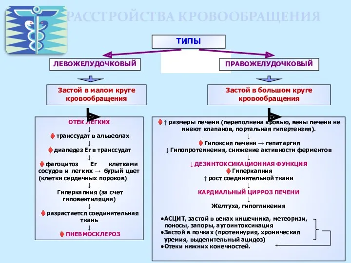 РАССТРОЙСТВА КРОВООБРАЩЕНИЯ ТИПЫ ЛЕВОЖЕЛУДОЧКОВЫЙ ПРАВОЖЕЛУДОЧКОВЫЙ Застой в малом круге кровообращения