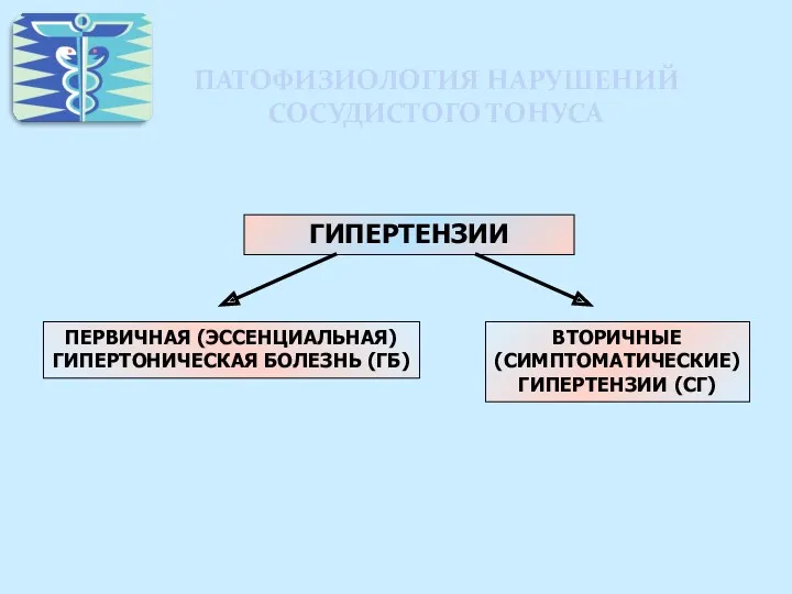 ПАТОФИЗИОЛОГИЯ НАРУШЕНИЙ СОСУДИСТОГО ТОНУСА ГИПЕРТЕНЗИИ ВТОРИЧНЫЕ (СИМПТОМАТИЧЕСКИЕ) ГИПЕРТЕНЗИИ (СГ) ПЕРВИЧНАЯ (ЭССЕНЦИАЛЬНАЯ) ГИПЕРТОНИЧЕСКАЯ БОЛЕЗНЬ (ГБ)