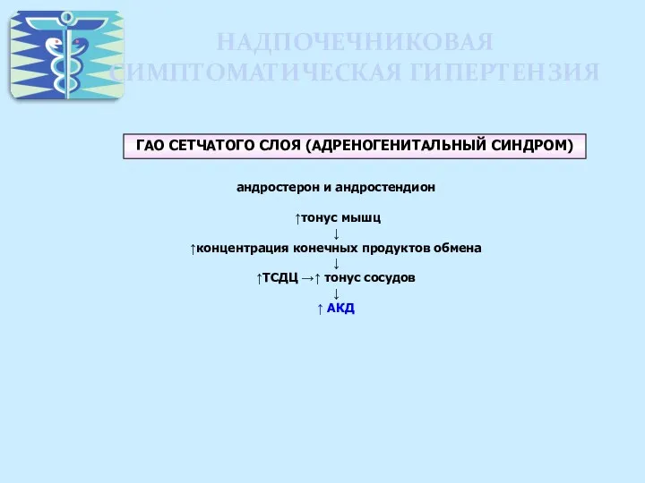 НАДПОЧЕЧНИКОВАЯ СИМПТОМАТИЧЕСКАЯ ГИПЕРТЕНЗИЯ ГАО СЕТЧАТОГО СЛОЯ (АДРЕНОГЕНИТАЛЬНЫЙ СИНДРОМ) андростерон и