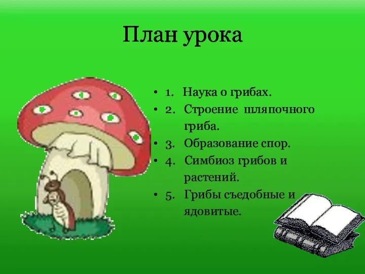 План урока 1. Наука о грибах. 2. Строение шляпочного гриба.