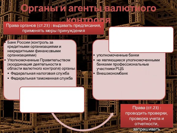 Органы и агенты валютного контроля Права органов (ст.23) : выдавать