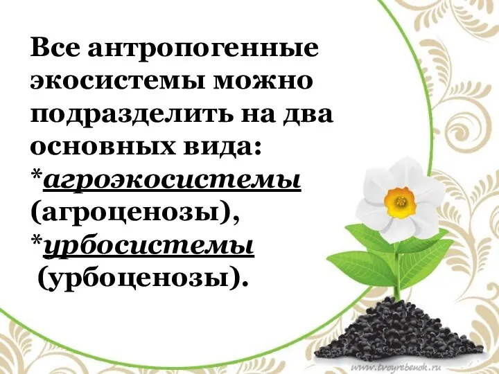 Все антропогенные экосистемы можно подразделить на два основных вида: *агроэкосистемы (агроценозы), *урбосистемы (урбоценозы).