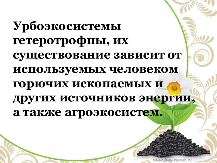 Урбоэкосистемы гетеротрофны, их существование зависит от используемых человеком горючих ископаемых