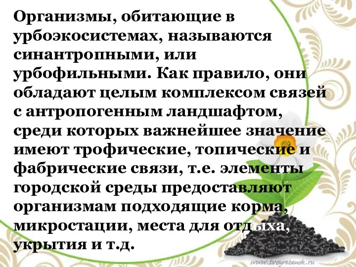 Организмы, обитающие в урбоэкосистемах, называются синантропными, или урбофильными. Как правило,