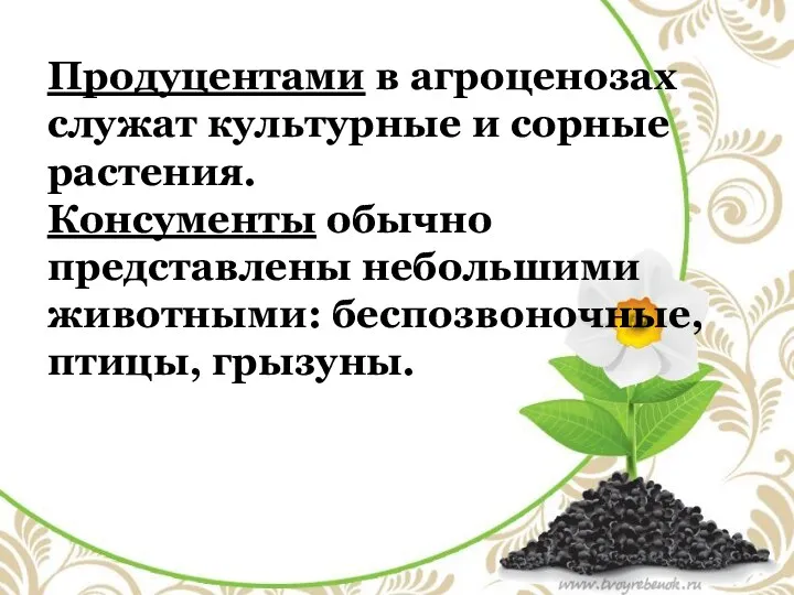 Продуцентами в агроценозах служат культурные и сорные растения. Консументы обычно представлены небольшими животными: беспозвоночные, птицы, грызуны.