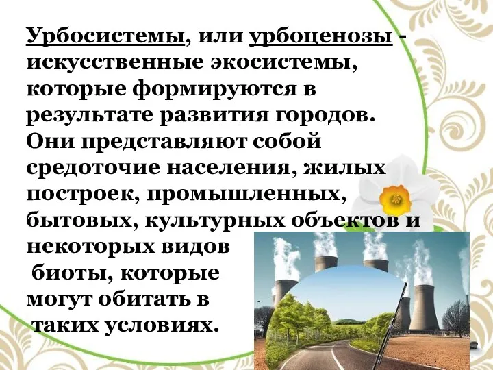 Урбосистемы, или урбоценозы - искусственные экосистемы, которые формируются в результате