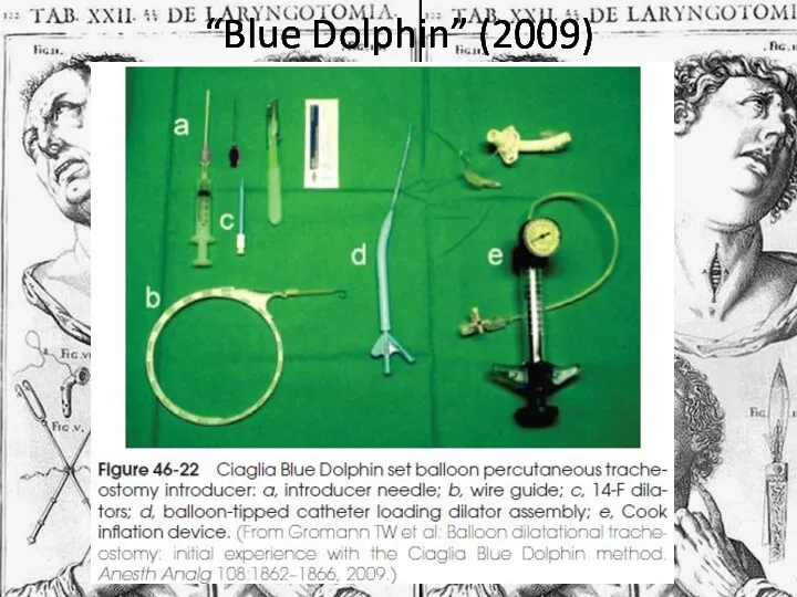 “Blue Dolphin” (2009)