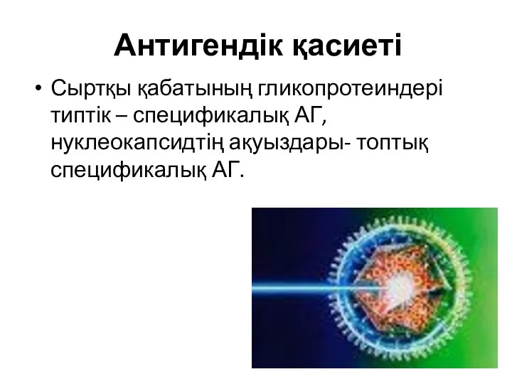 Антигендік қасиеті Сыртқы қабатының гликопротеиндері типтік – спецификалық АГ, нуклеокапсидтің ақуыздары- топтық спецификалық АГ.