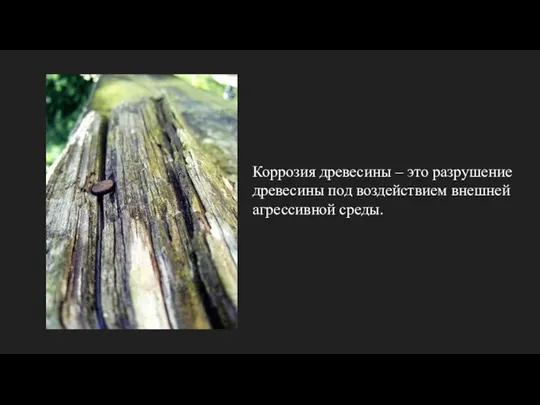 Коррозия древесины – это разрушение древесины под воздействием внешней агрессивной среды.