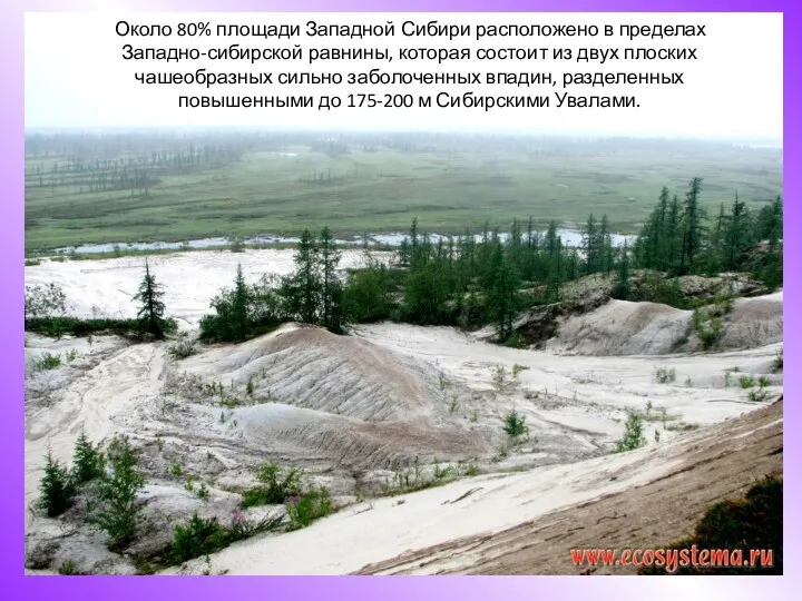 Около 80% площади Западной Сибири расположено в пределах Западно-сибирской равнины,
