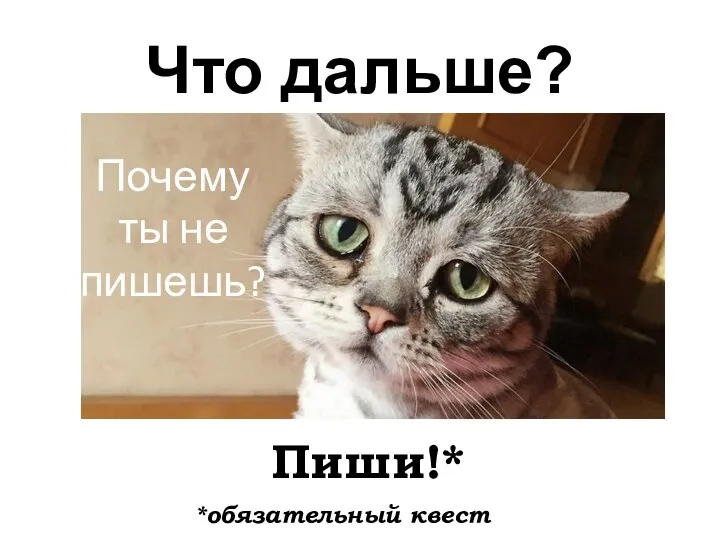 Что дальше? Пиши!* *обязательный квест Почему ты не пишешь?