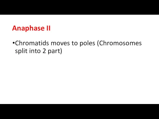 Anaphase II Chromatids moves to poles (Chromosomes split into 2 part)