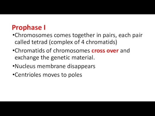 Prophase I Chromosomes comes together in pairs, each pair called