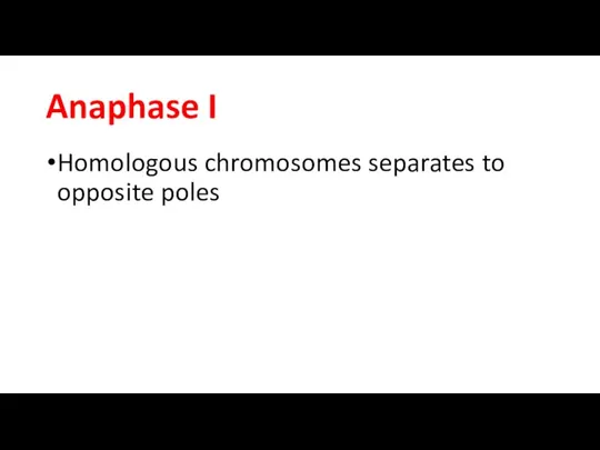 Anaphase I Homologous chromosomes separates to opposite poles