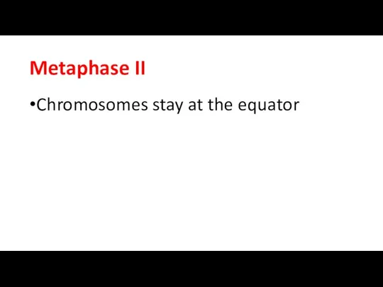 Metaphase II Chromosomes stay at the equator
