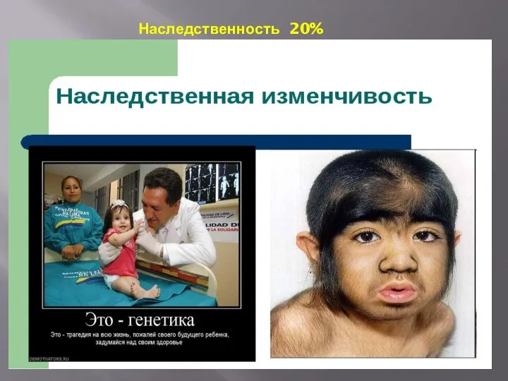 Наследственность 20% 20 %