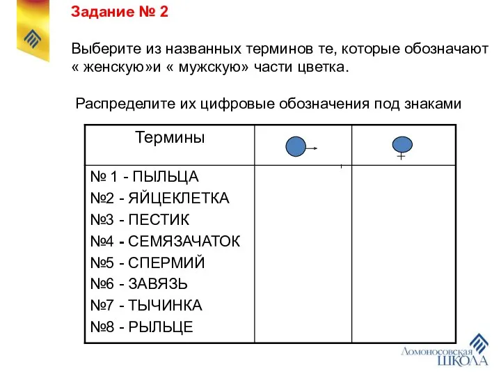 Задание № 2 Выберите из названных терминов те, которые обозначают