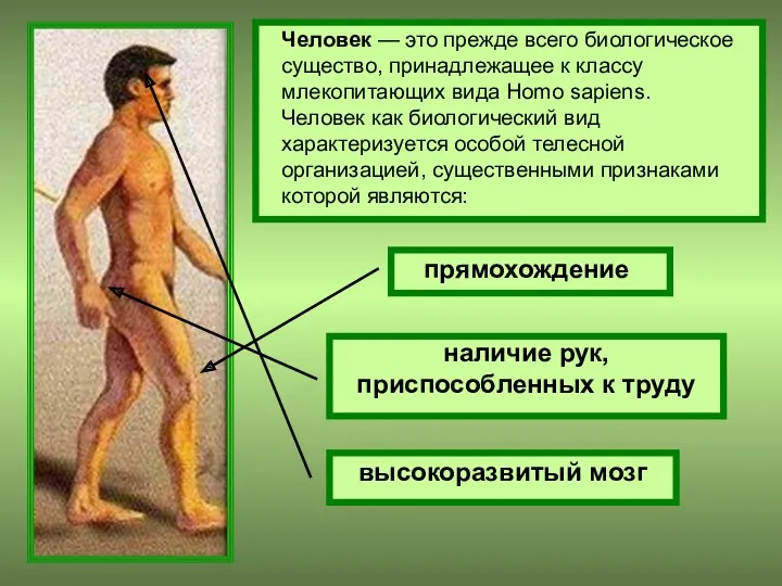 Человек — это прежде всего биологическое существо, принадлежащее к классу