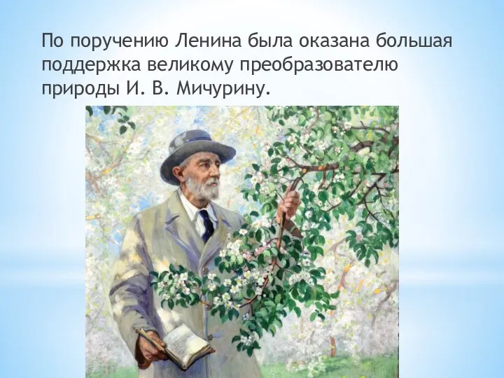 По поручению Ленина была оказана большая поддержка великому преобразователю природы И. В. Мичурину.