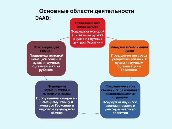 Основные области деятельности DAAD: