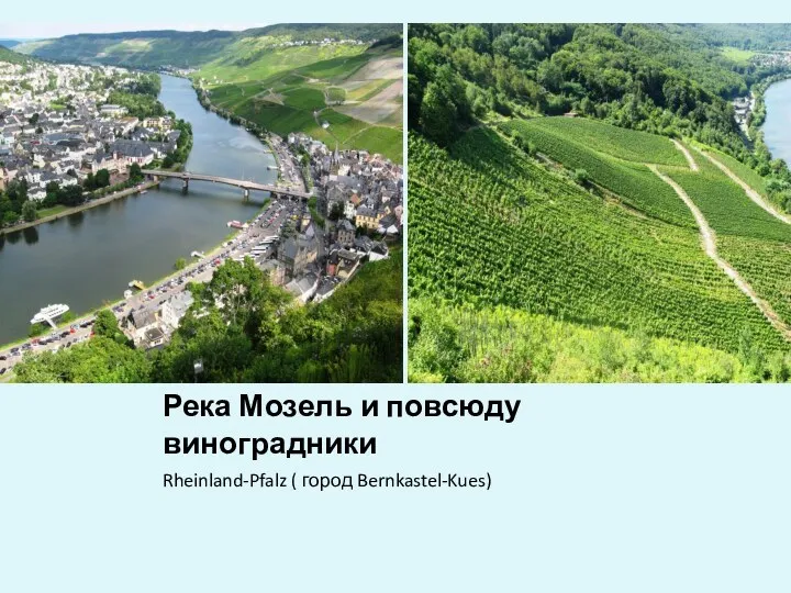 Река Мозель и повсюду виноградники Rheinland-Pfalz ( город Bernkastel-Kues)