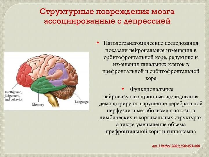 Структурные повреждения мозга ассоциированные с депрессией Патологоанатомические исследования показали нейрональные