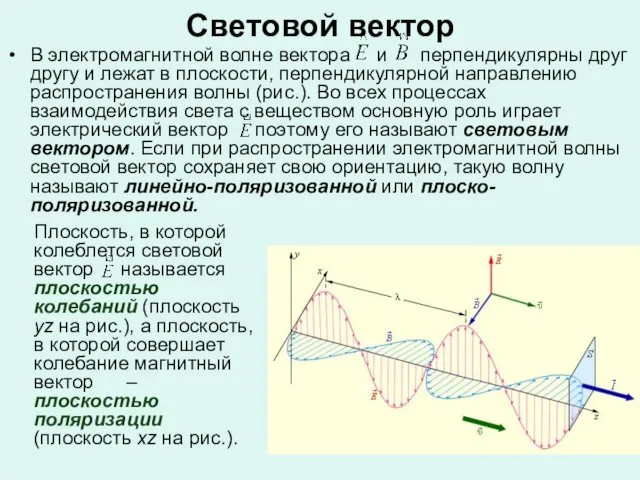 Световой вектор В электромагнитной волне вектора и перпендикулярны друг другу и лежат в
