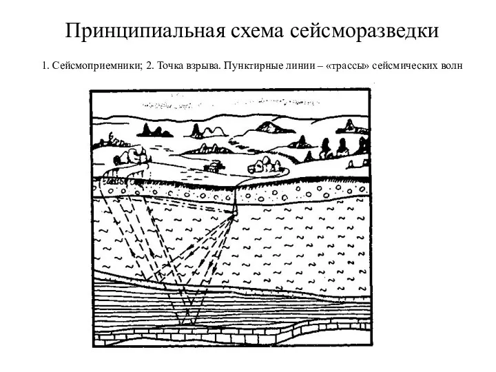 Принципиальная схема сейсморазведки 1. Сейсмоприемники; 2. Точка взрыва. Пунктирные линии – «трассы» сейсмических волн