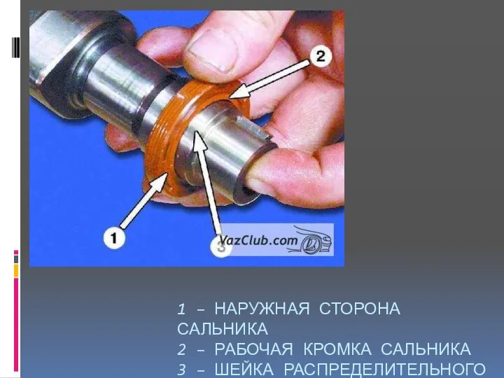 1 – НАРУЖНАЯ СТОРОНА САЛЬНИКА 2 – РАБОЧАЯ КРОМКА САЛЬНИКА 3 – ШЕЙКА РАСПРЕДЕЛИТЕЛЬНОГО ВАЛА