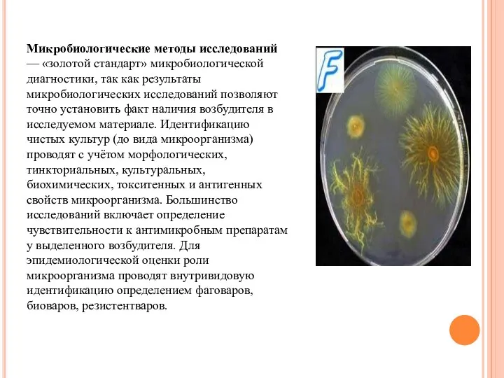 Микробиологические методы исследований — «золотой стандарт» микробиологической диагностики, так как