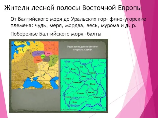 Жители лесной полосы Восточной Европы От Балтийского моря до Уральских гор- фино-угорские племена: