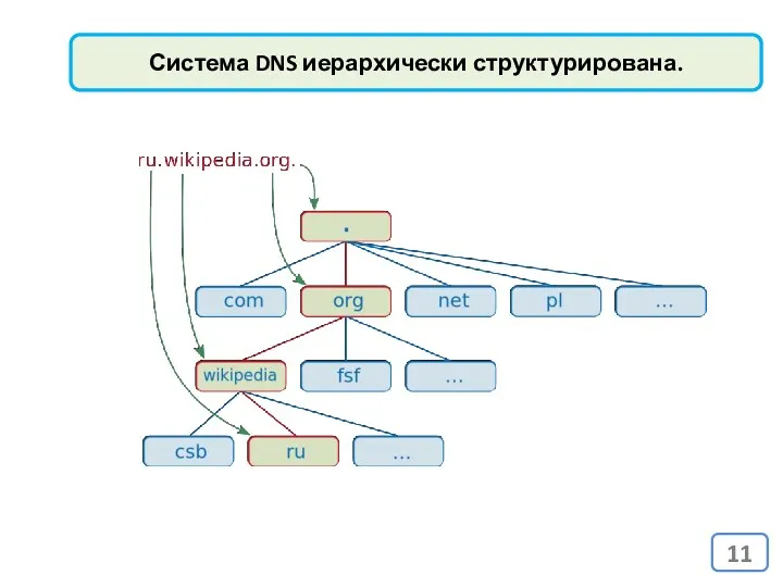 Система DNS иерархически структурирована.