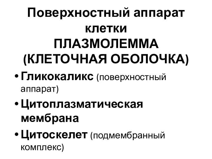 Поверхностный аппарат клетки ПЛАЗМОЛЕММА (КЛЕТОЧНАЯ ОБОЛОЧКА) Гликокаликс (поверхностный аппарат) Цитоплазматическая мембрана Цитоскелет (подмембранный комплекс)