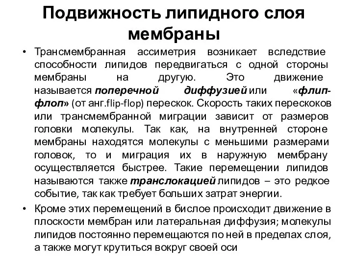 Подвижность липидного слоя мембраны Трансмембранная ассиметрия возникает вследствие способности липидов