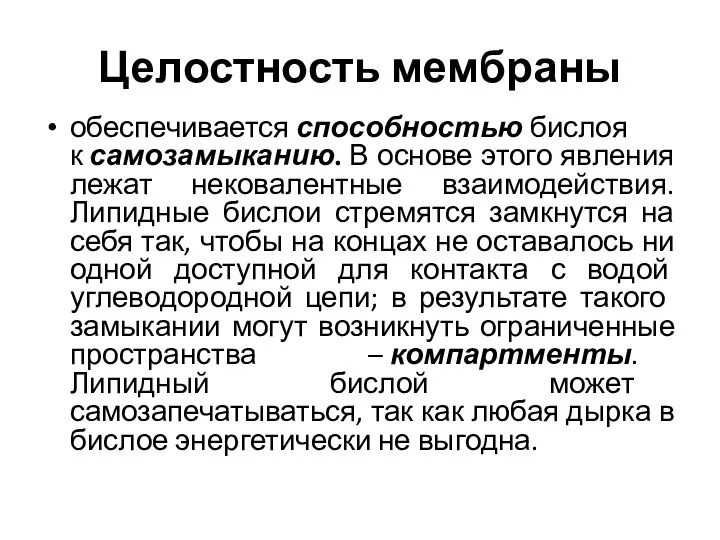 Целостность мембраны обеспечивается способностью бислоя к самозамыканию. В основе этого