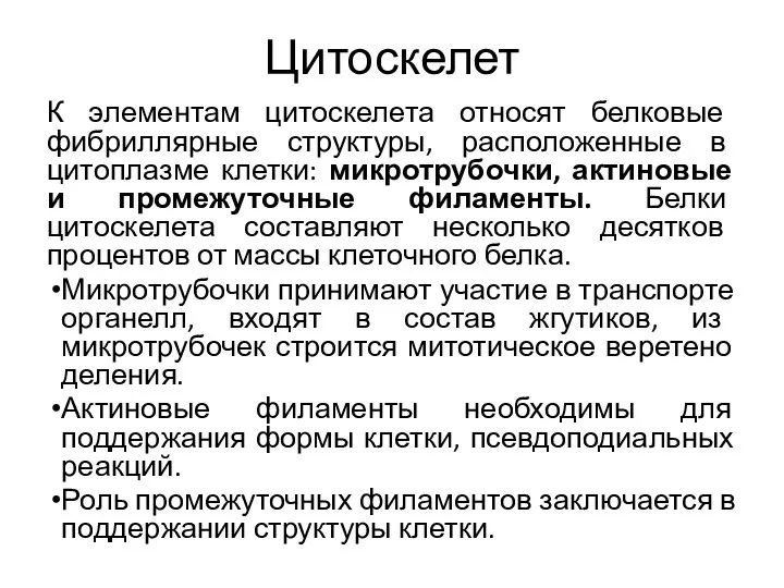 Цитоскелет К элементам цитоскелета относят белковые фибриллярные структуры, расположенные в