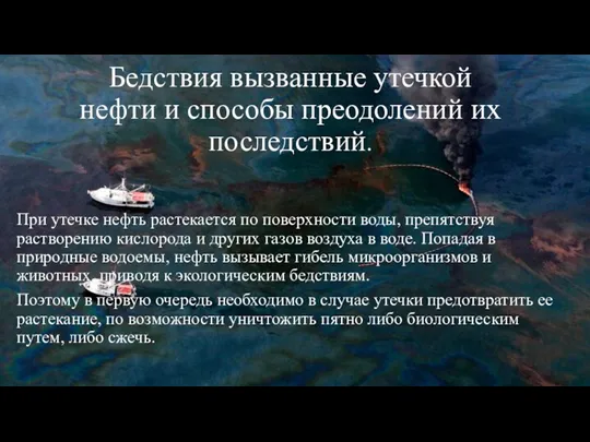 Бедствия вызванные утечкой нефти и способы преодолений их последствий. При