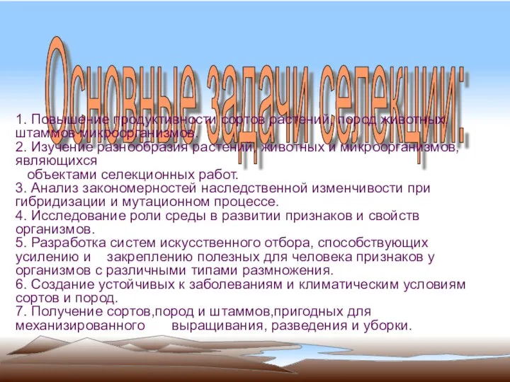 Основные задачи селекции: 1. Повышение продуктивности сортов растений, пород животных,