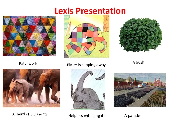 Lexis Presentation Patchwork Elmer is slipping away A bush A