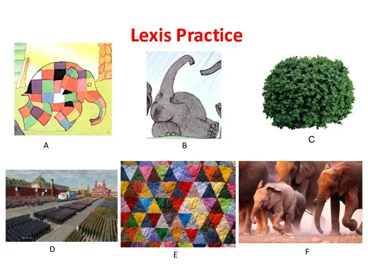 Lexis Practice B A D С E F